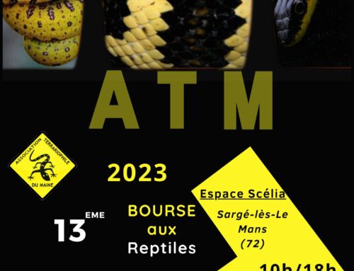 13eme bourse terrariophile de l’ATM